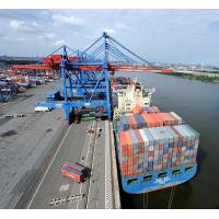 6090 Luftaufnahme Container Terminal Hamburg Altenwerder | 